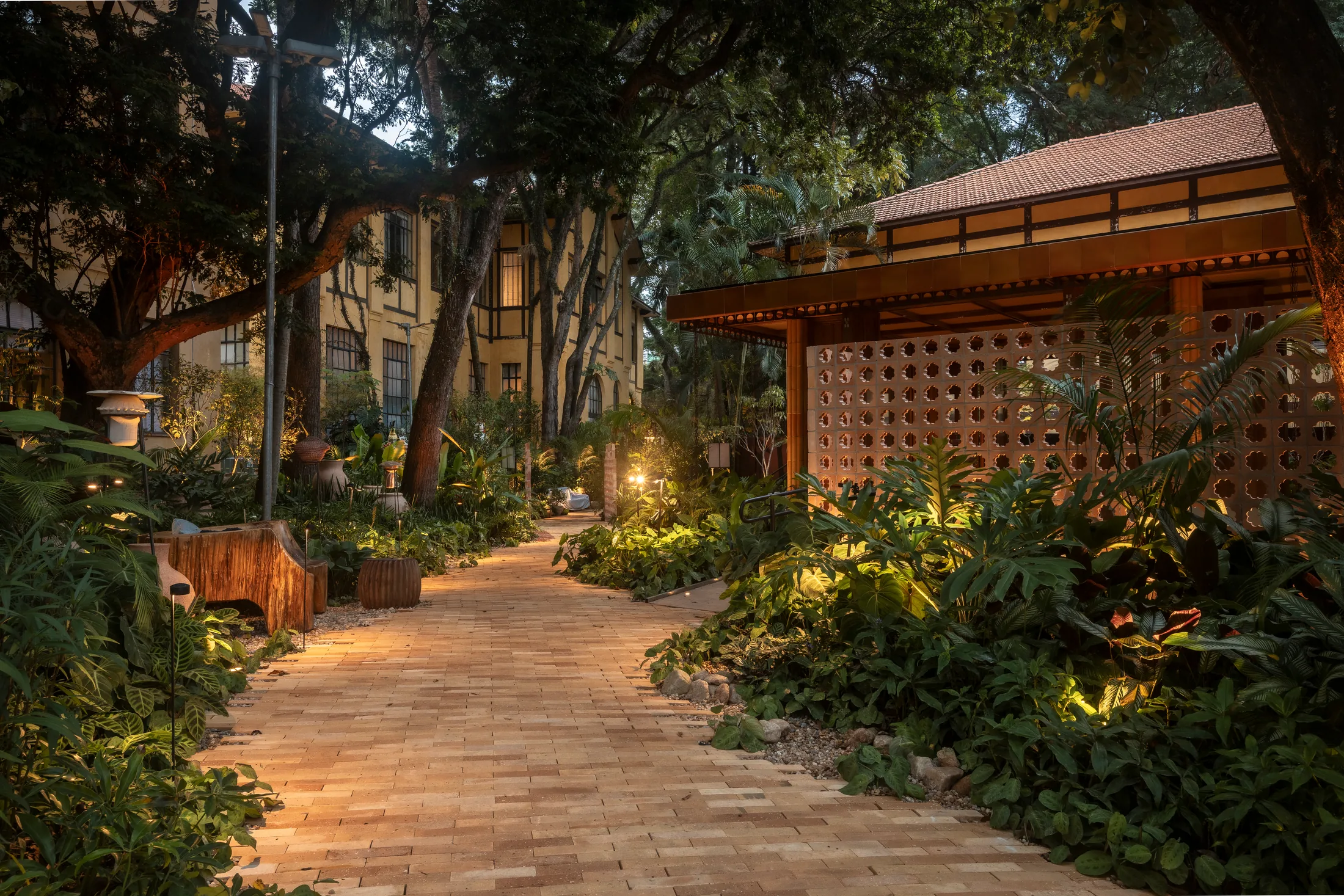 Jardim com iluminação cênica noturna