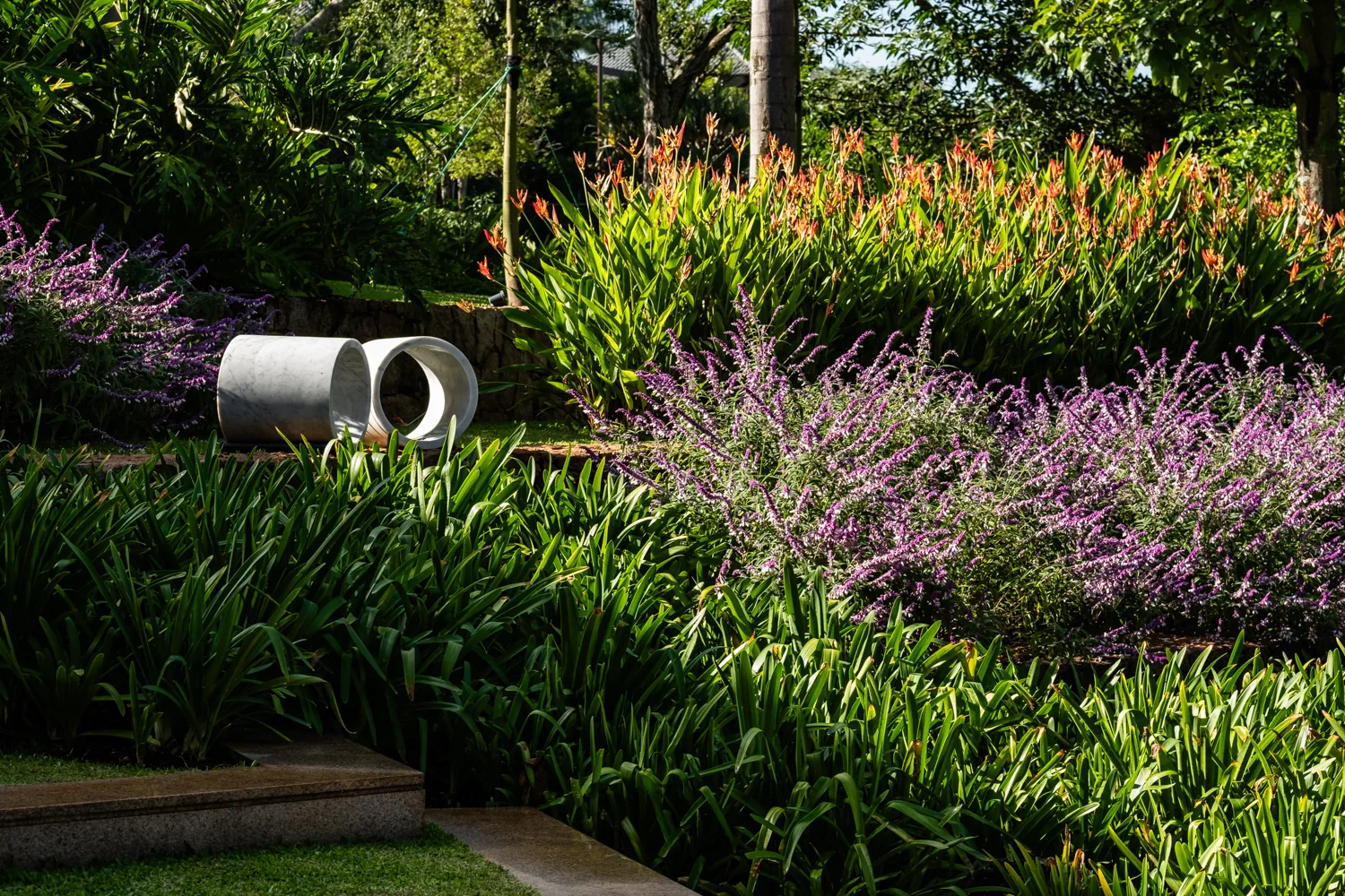 Canteiro em floração, o mesmo jardim da capa